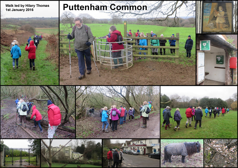 Walk - Puttenham Common - 1st January 2016